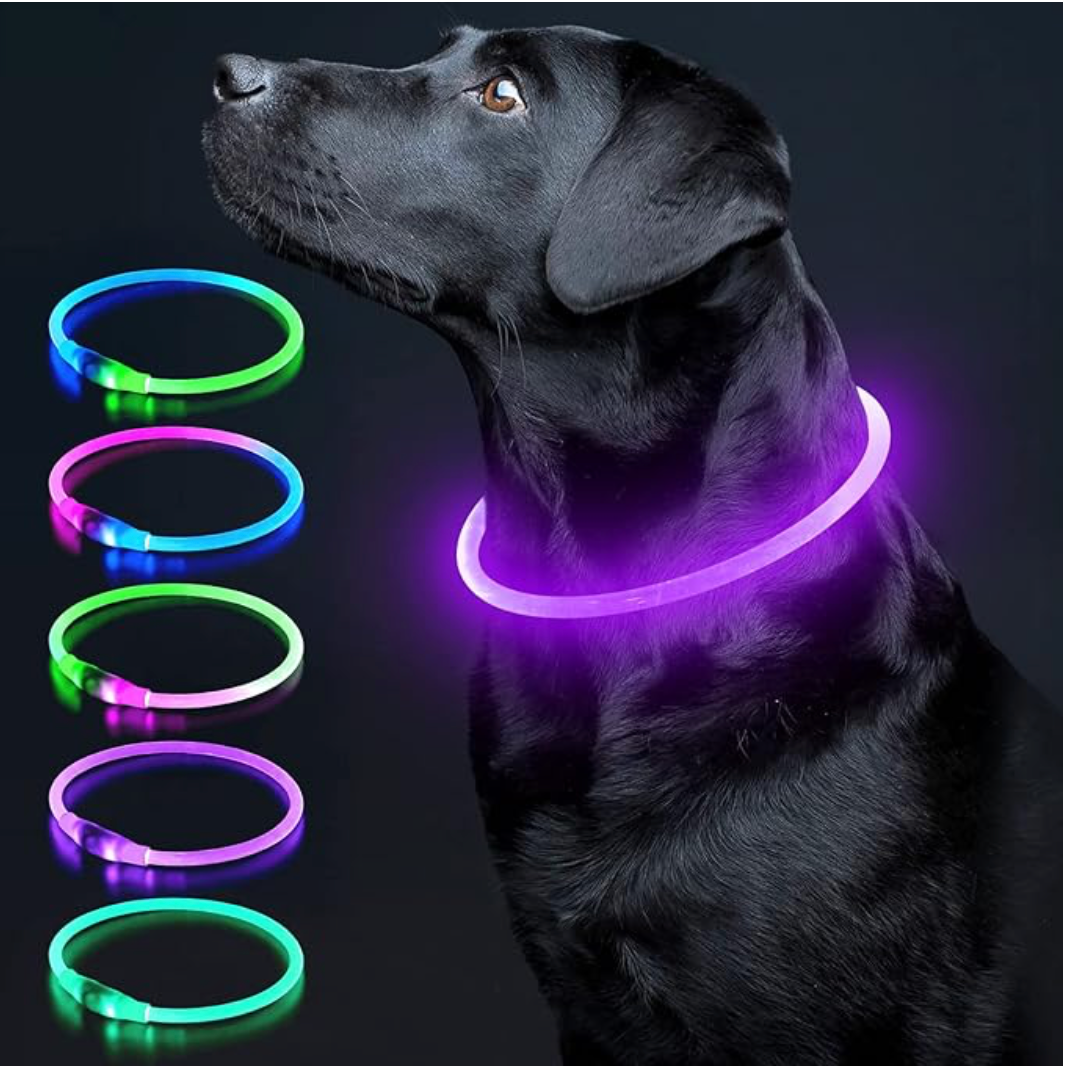 Collier pour chien LED – Collier de sécurité lumineux rechargeable pour les promenades nocturnes