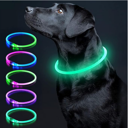 Collier pour chien LED – Collier de sécurité lumineux rechargeable pour les promenades nocturnes