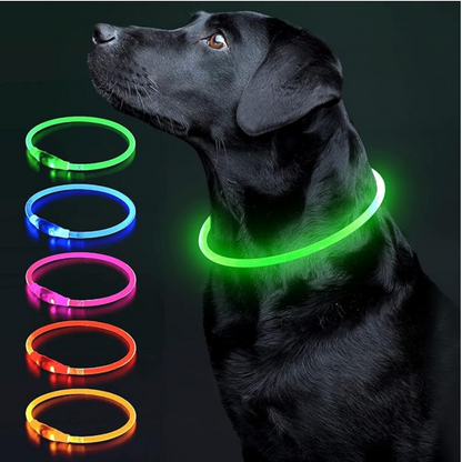 Collier pour chien LED – Collier de sécurité lumineux rechargeable pour les promenades nocturnes