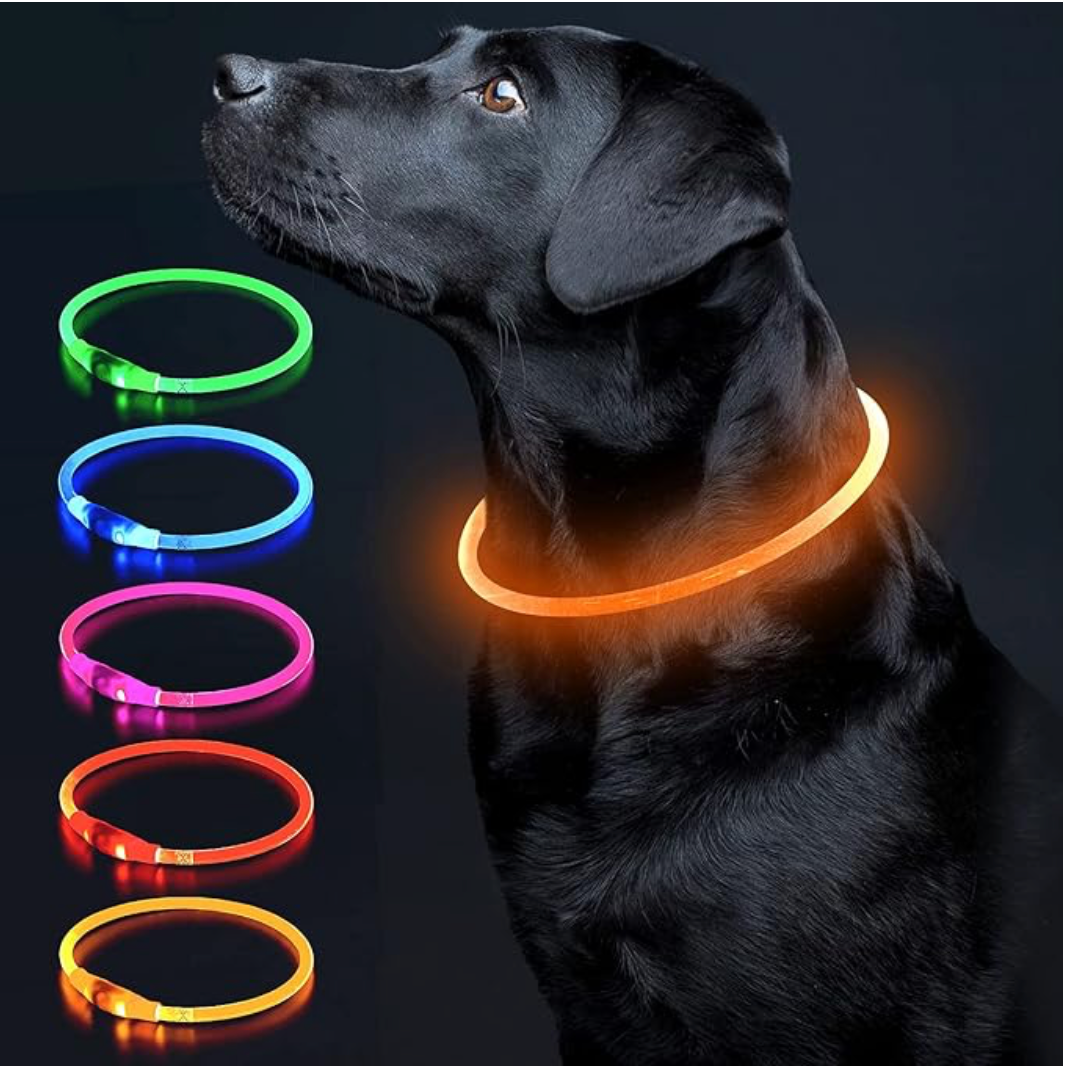 Collier pour chien LED – Collier de sécurité lumineux rechargeable pour les promenades nocturnes