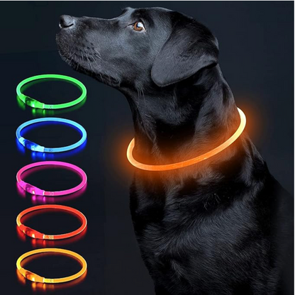 Collier pour chien LED – Collier de sécurité lumineux rechargeable pour les promenades nocturnes