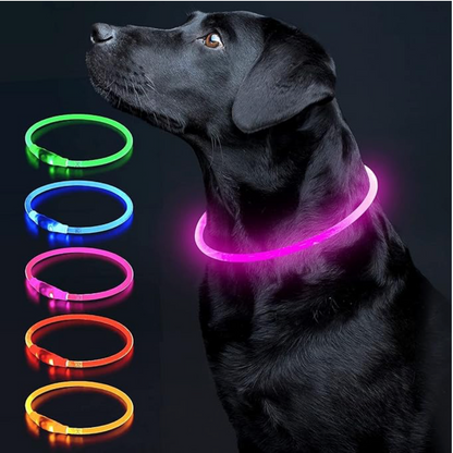 Collier pour chien LED – Collier de sécurité lumineux rechargeable pour les promenades nocturnes