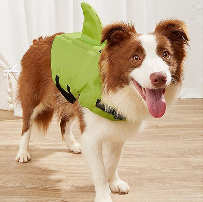 Gilet de sauvetage pour chien - Le gilet de natation ultime pour des aventures sûres et amusantes