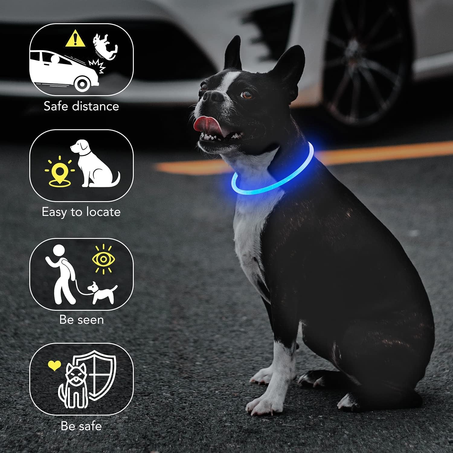 Light up Dog Collar, USB Rechargeable LED Glow Necklace, Blue | Waterproof IP67, Cut-To-Fit TPU, 27In, 360° Night Safety, Pet Visibility Light, Camping & Walking, Fits Small-Large Dogs